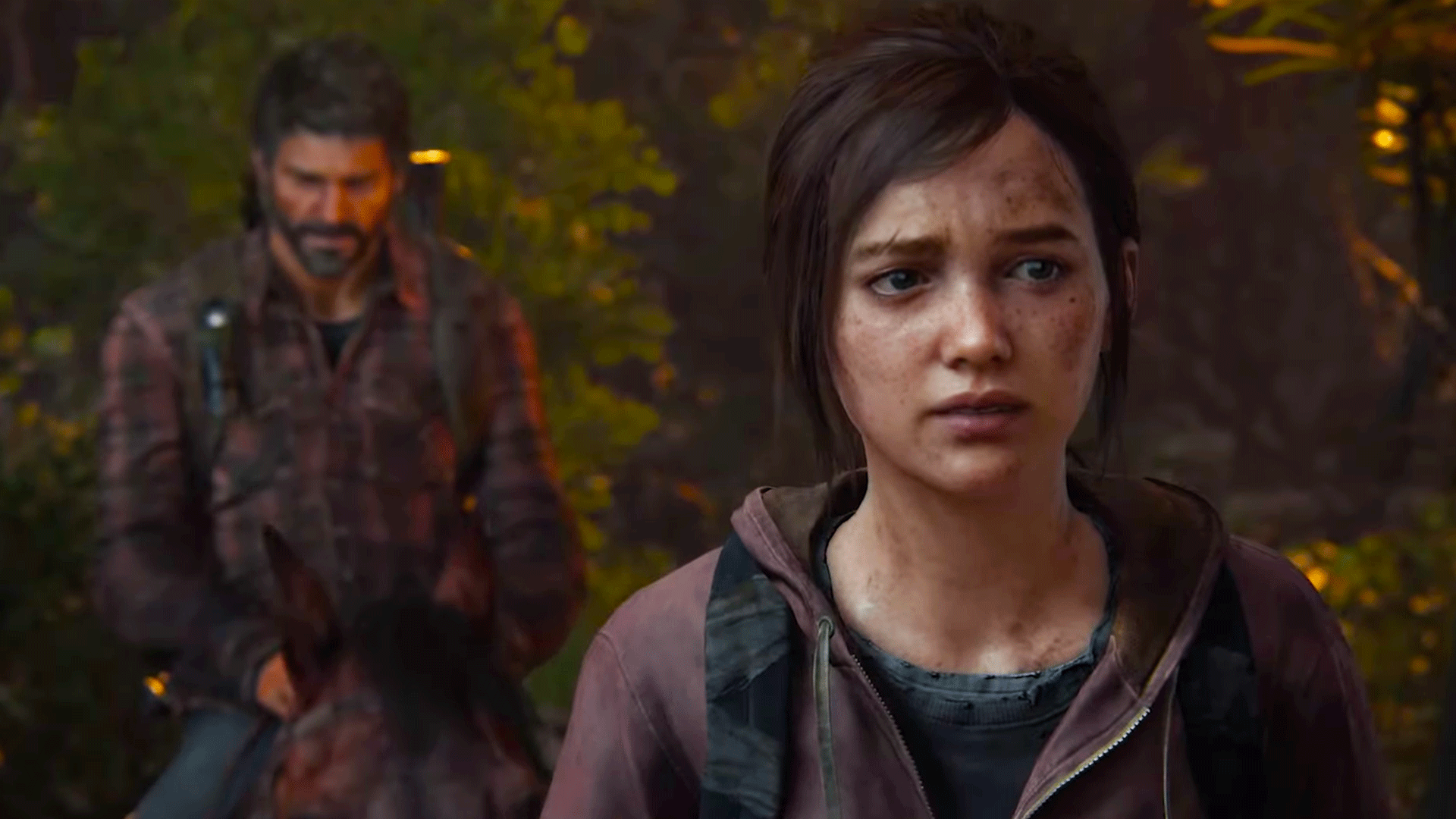 The Last of Us